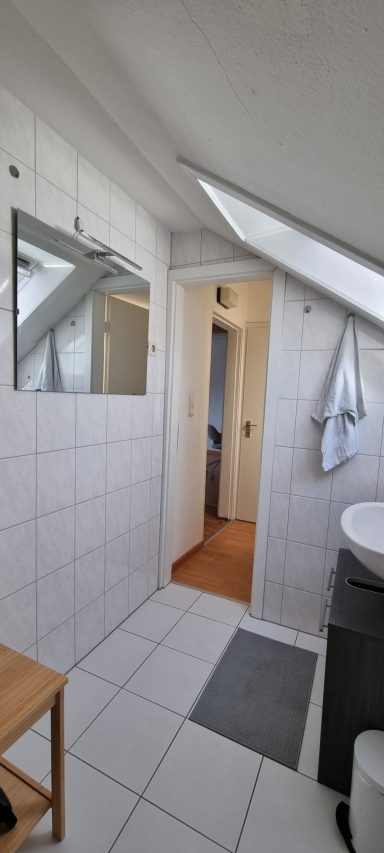 Badezimmer mit Dachfenster